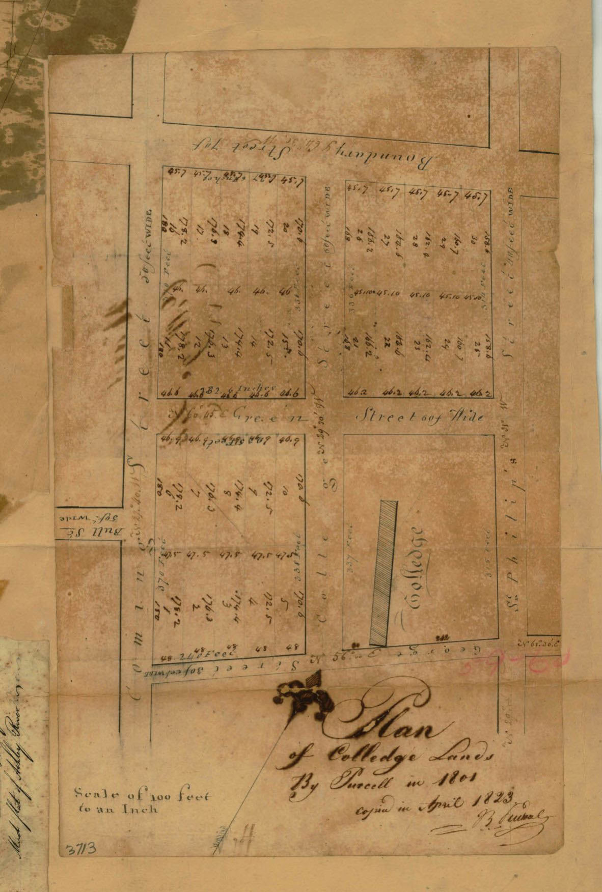 McCradyPlat3713.jpg